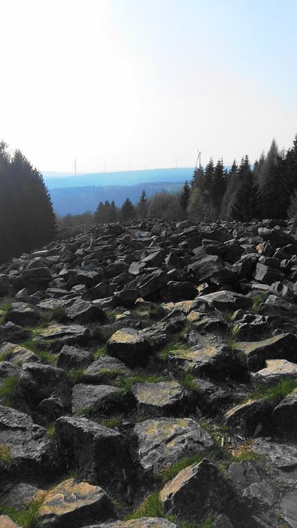 Landhaus Spanier Nonnweiler Esterno foto